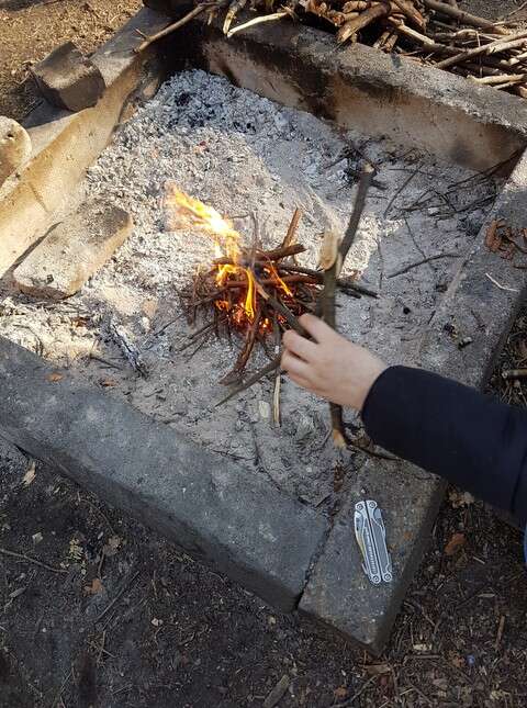 Survival birthday party